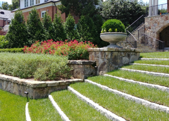 Stone terrace, planting beds, and steps at the Alexandria Modern residence.