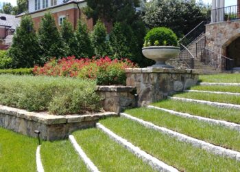 Stone turf steps, retaining walls, and planting beds at Potomac Georgian Entry.