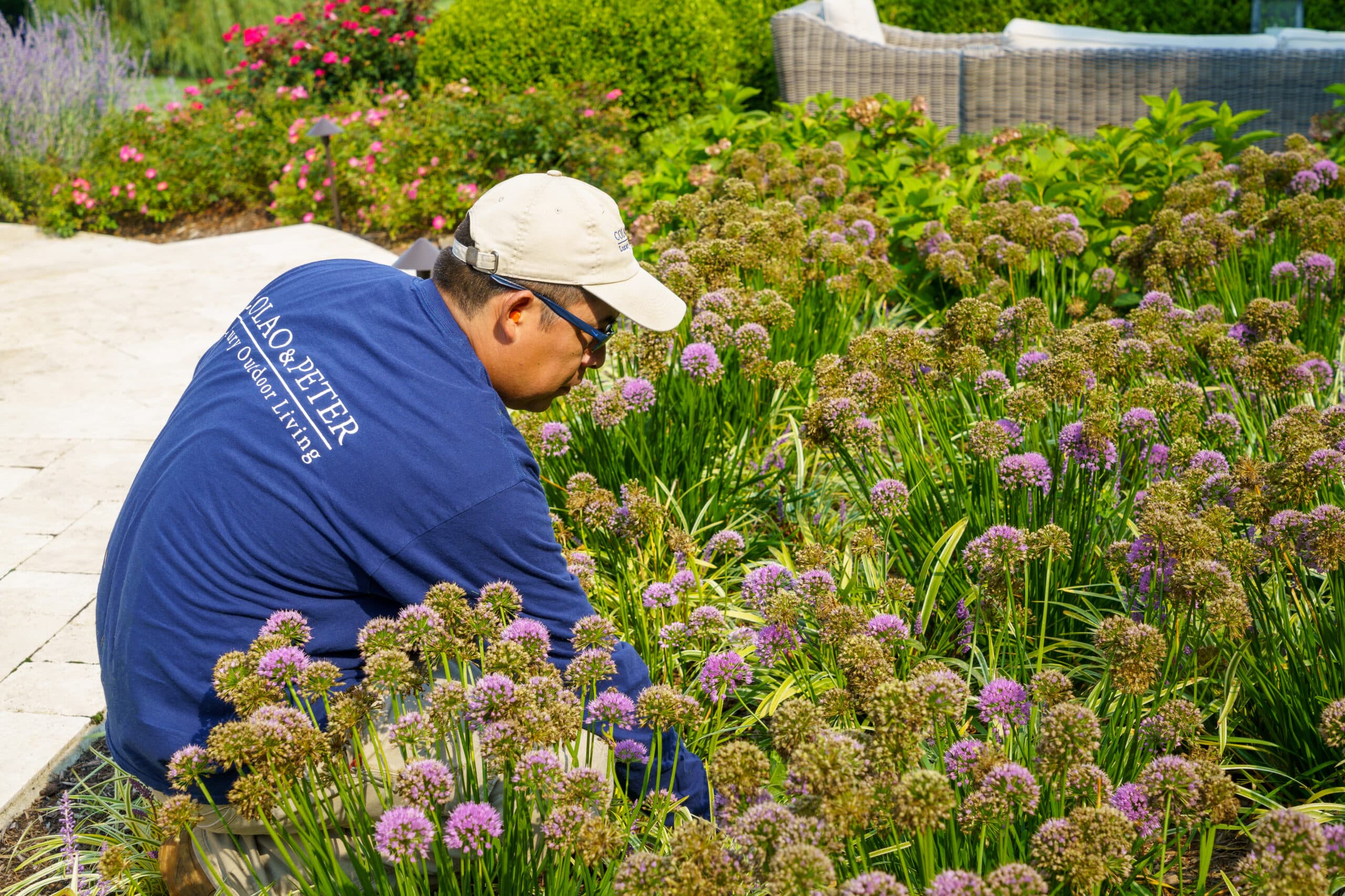 C&P crew member tending formal planting beds
