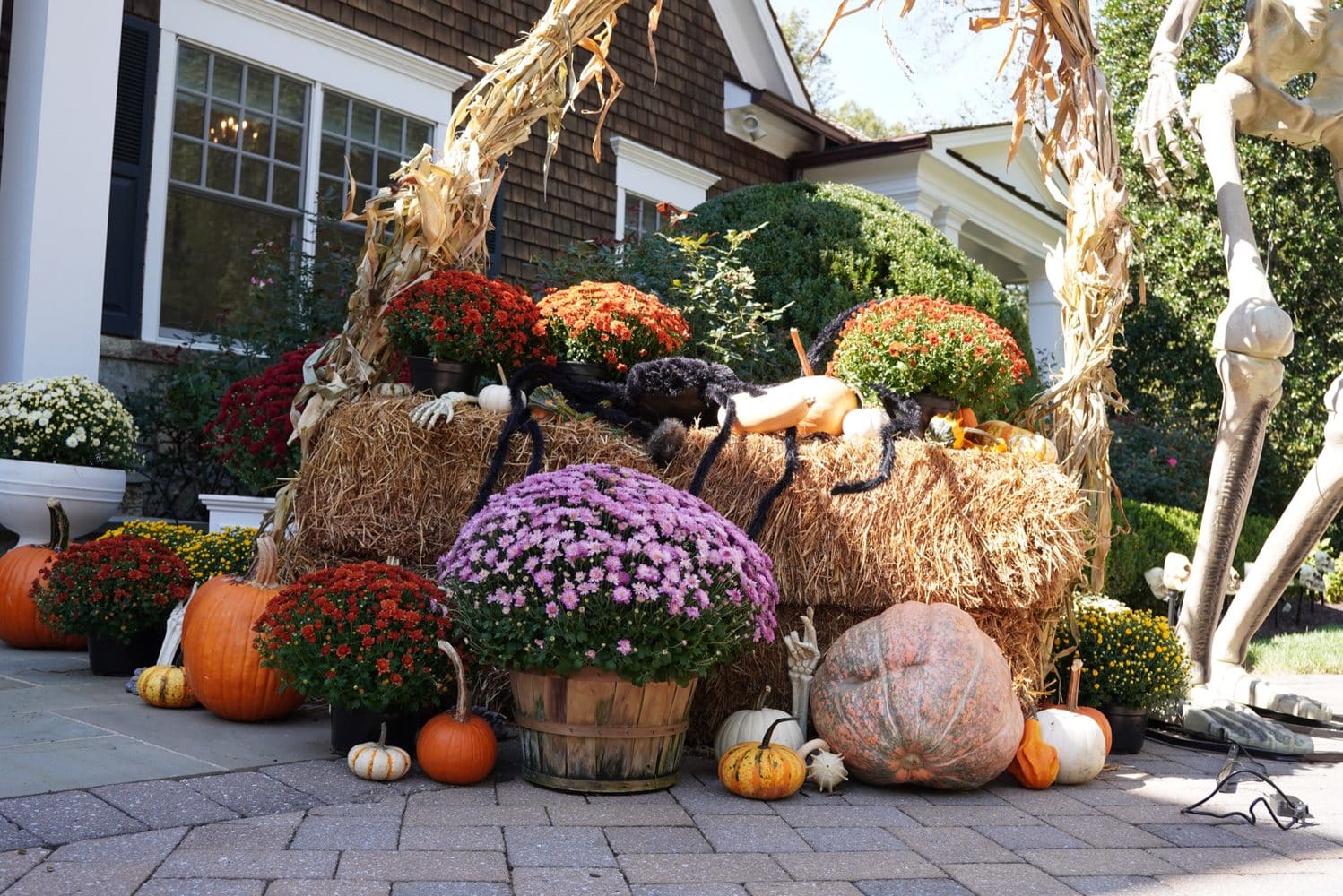 Seasonal color and autumn landscape decor