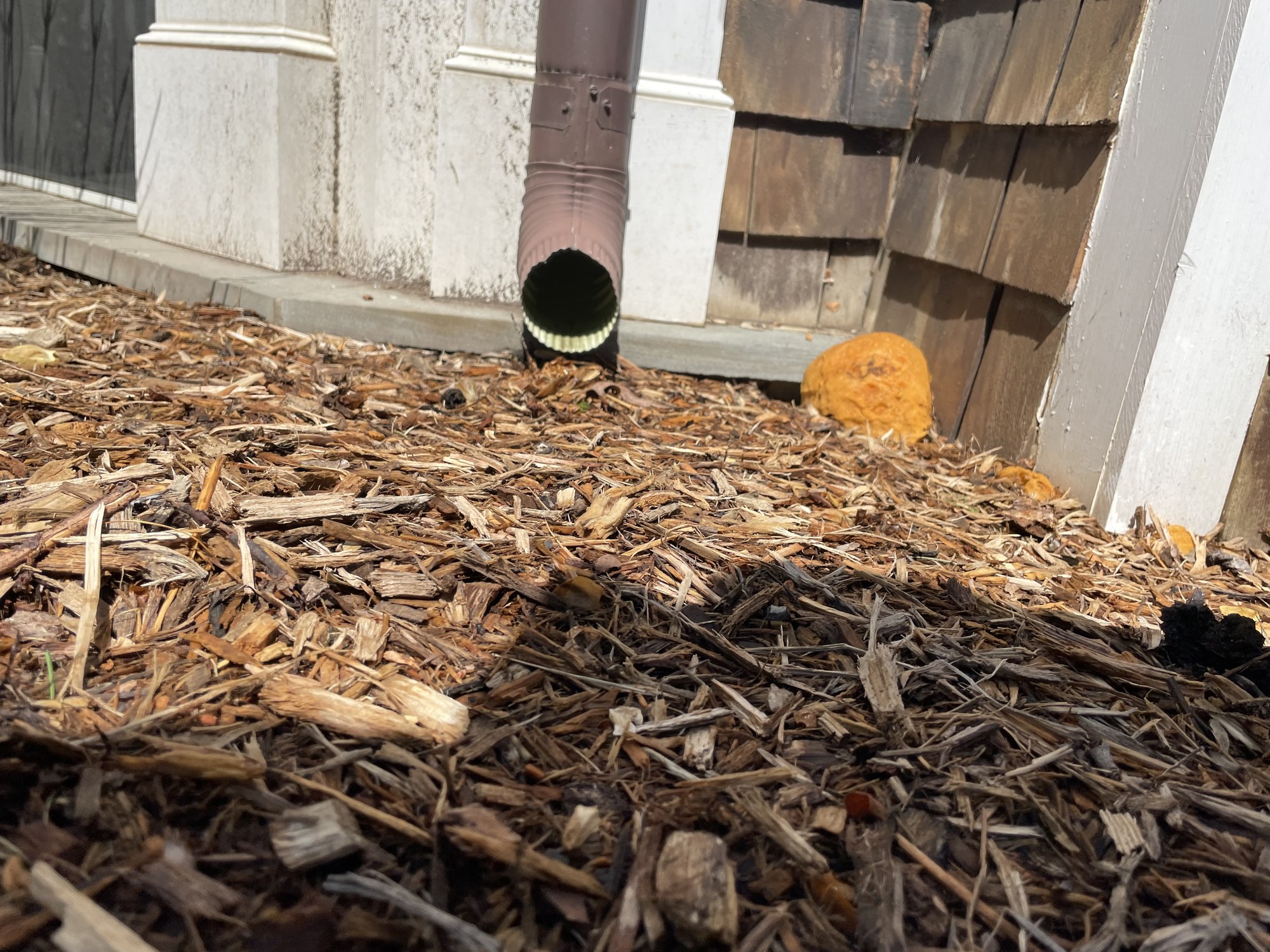 Drainage outlet in planting bed near foundation